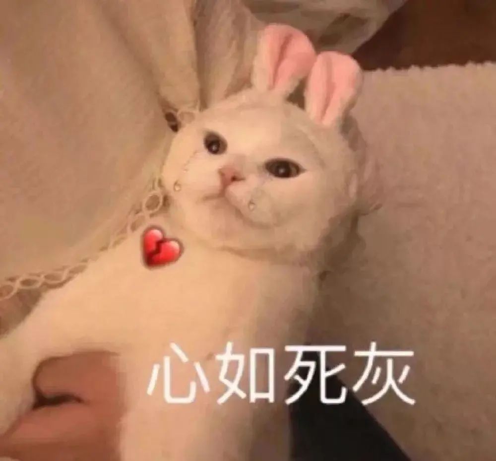 DƬ